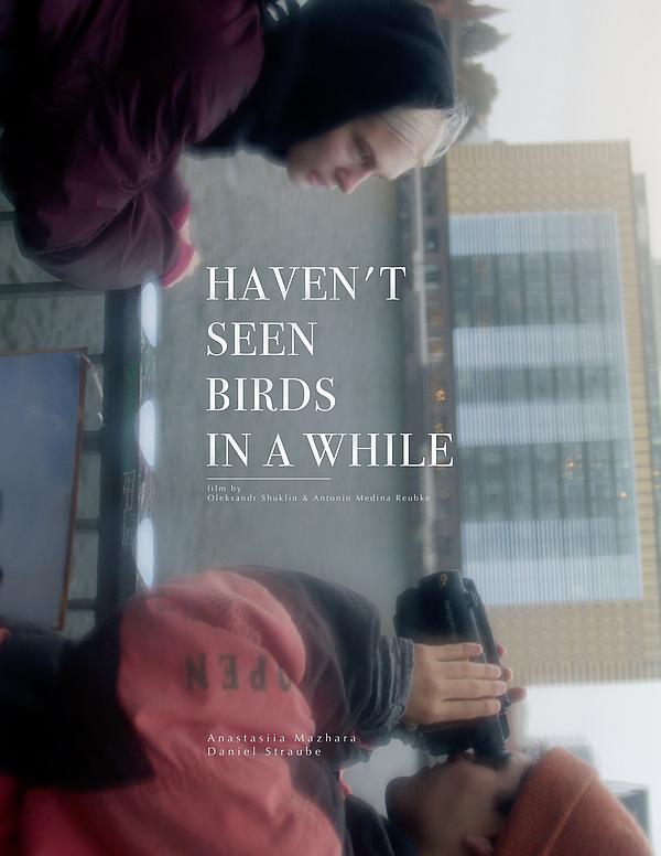 teaser poster for movie Haven’t Seen Birds In A While